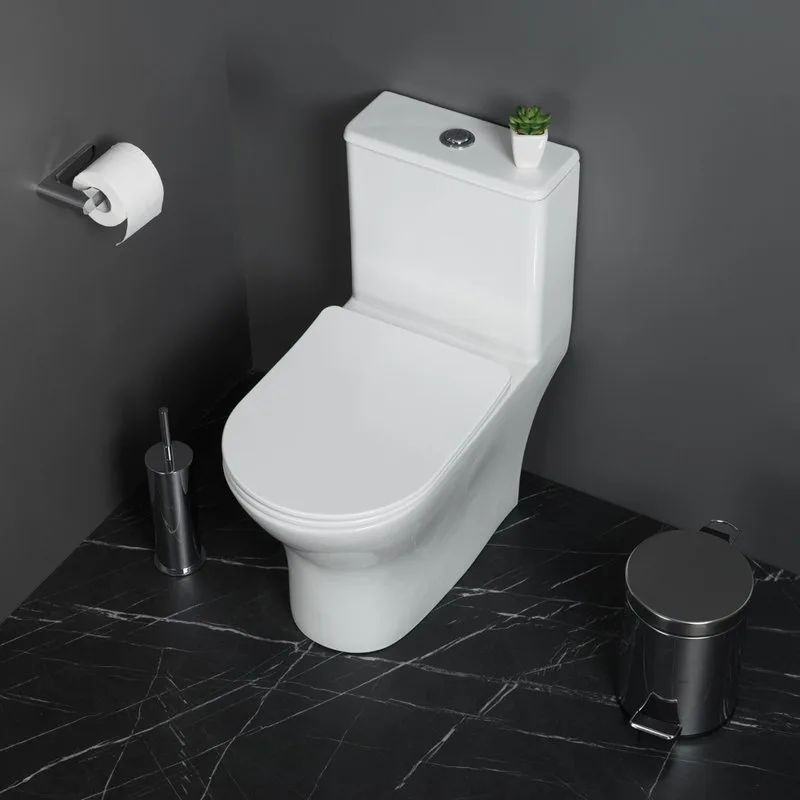 Унитаз-моноблок напольный BelBagno Lounge BB8618CPR-MN/SC Sancos — официальный сайт