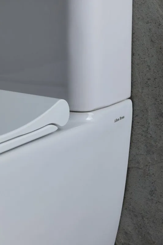 Унитаз-компакт напольный Allen Brau Priority 4.31003.20 Sancos — официальный сайт