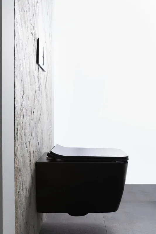 Унитаз подвесной Allen Brau Liberty 4.33007.31 Sancos — официальный сайт