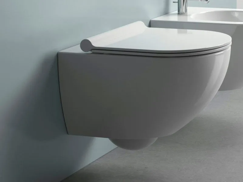Крышка-сиденье Catalano Zero PLUS с микролифтом, петли хром Sancos — официальный сайт