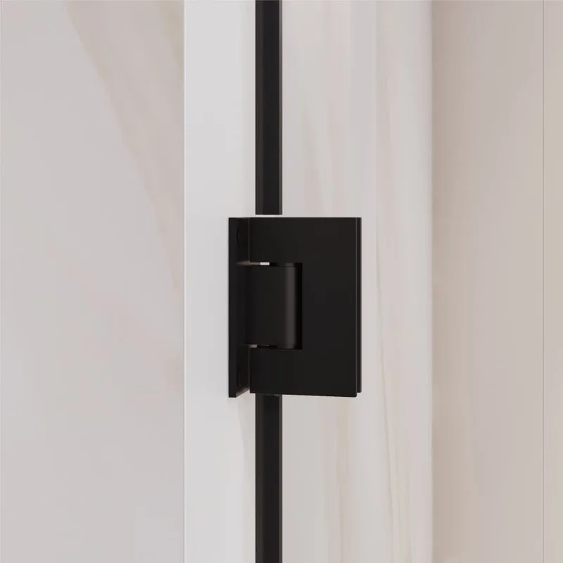 Душевая дверь в нишу RGW Passage PA-06B 41080607-14 70х195, профиль черный Sancos — официальный сайт