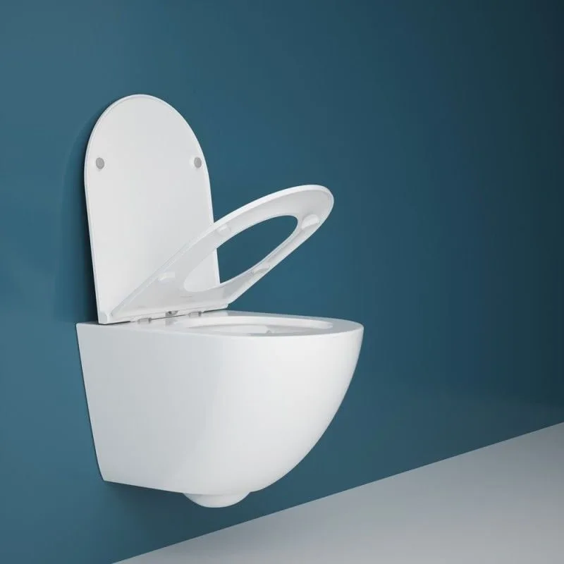 Подвесной унитаз Esbano Gardena-49T ESUPGARD49TW белый глянец безободковый, смыв Торнадо, с сиденьем Sancos — официальный сайт