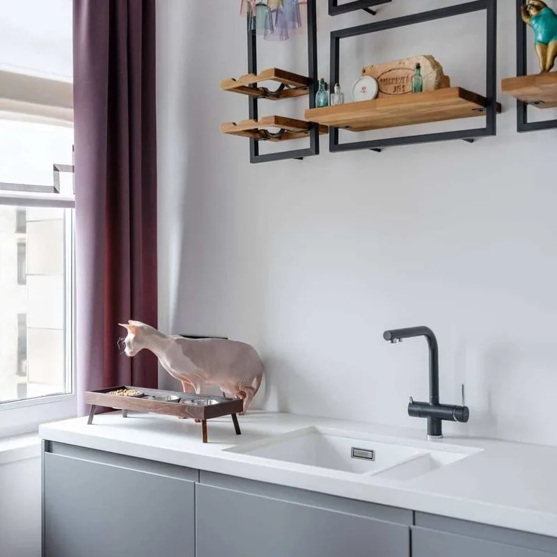 Смеситель для кухни Blanco Fontas II Silgranit 525139 Sancos — официальный сайт