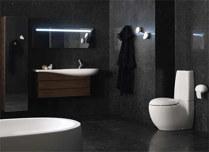 Крючок Laufen Alessi one 8.7097.6.000.000.1 Sancos — официальный сайт