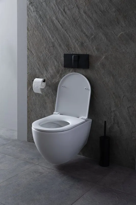 Унитаз подвесной Allen Brau Reality 4.32006.20 Sancos — официальный сайт