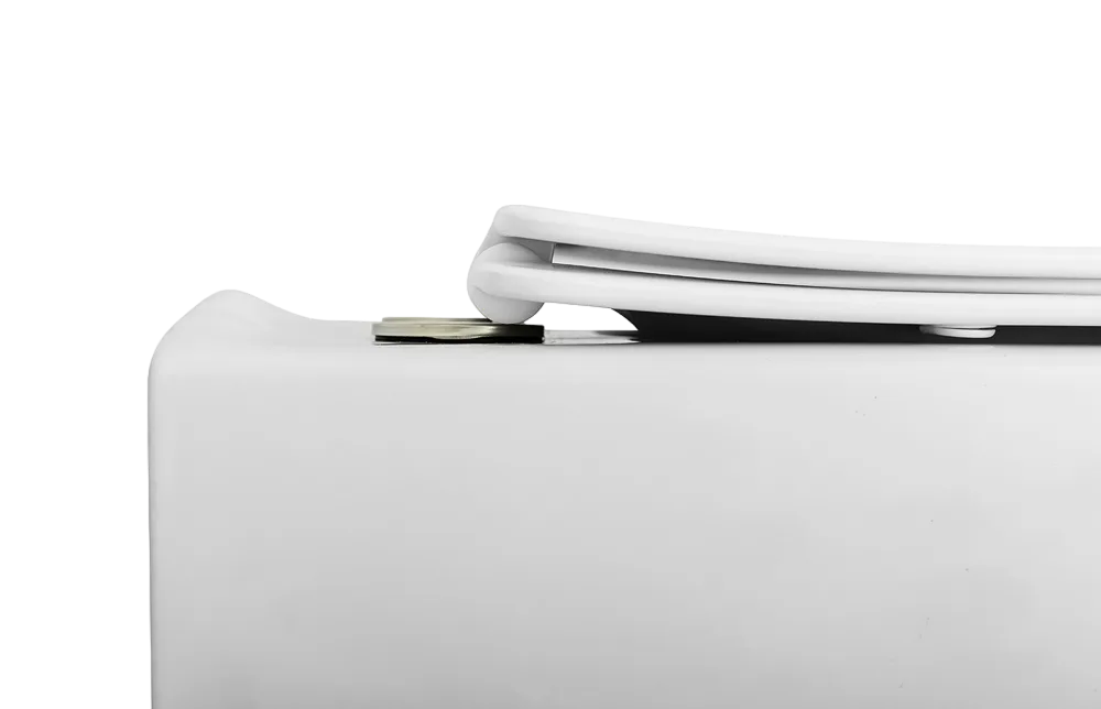 Унитаз подвесной Cezares Comfort CZR-191-TH Sancos — официальный сайт