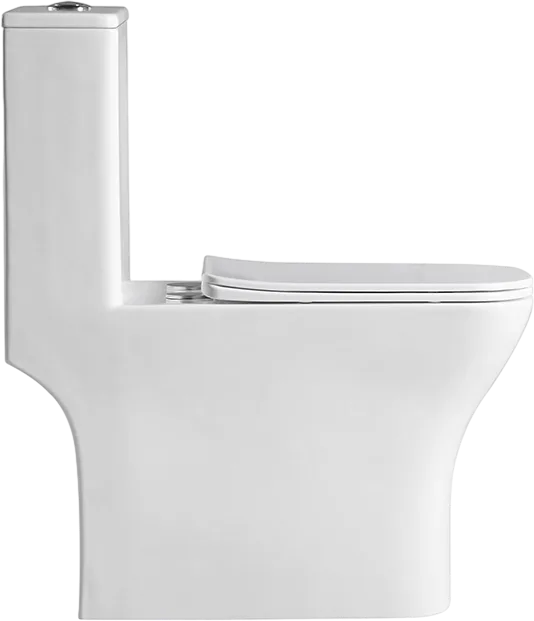 Унитаз-моноблок напольный BelBagno Neon BB8617CPR-MN/SC Sancos — официальный сайт