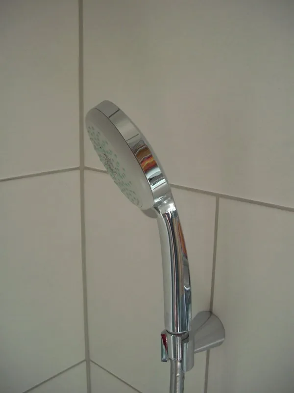 Душевая лейка Hansgrohe Croma 100 Multi 28536000 Sancos — официальный сайт