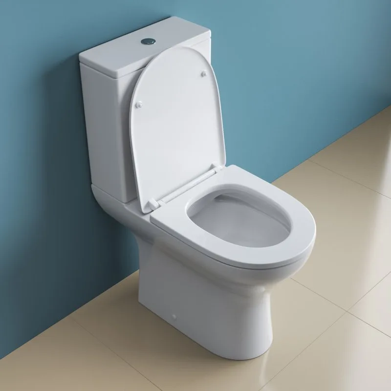 Унитаз-компакт напольный BelBagno Lounge BB045CPR Sancos — официальный сайт