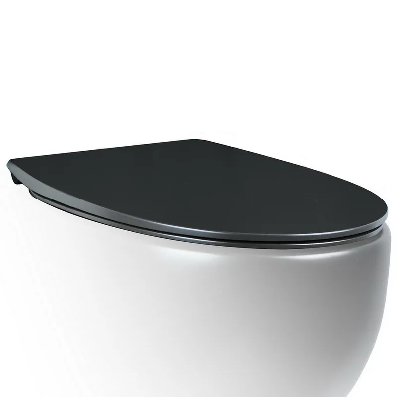 Крышка-сиденье AeT Dot 2.0 C555R105 c микролифтом, черная матовая Sancos — официальный сайт