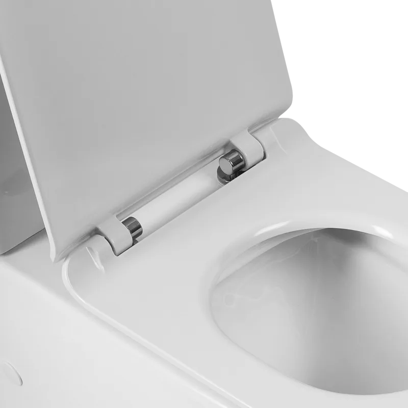 Унитаз-компакт напольный BelBagno Sfera-r BB2141CPR BB2141CPR с микролифтом, безободковый, глянцевый Sancos — официальный сайт