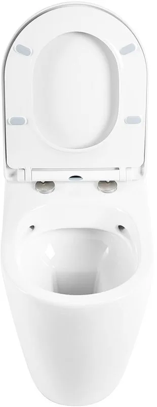 Унитаз приставной напольный BelBagno Marino BB105CBR сиденье BB2031SC с микролифтом, безободковый, г Sancos — официальный сайт