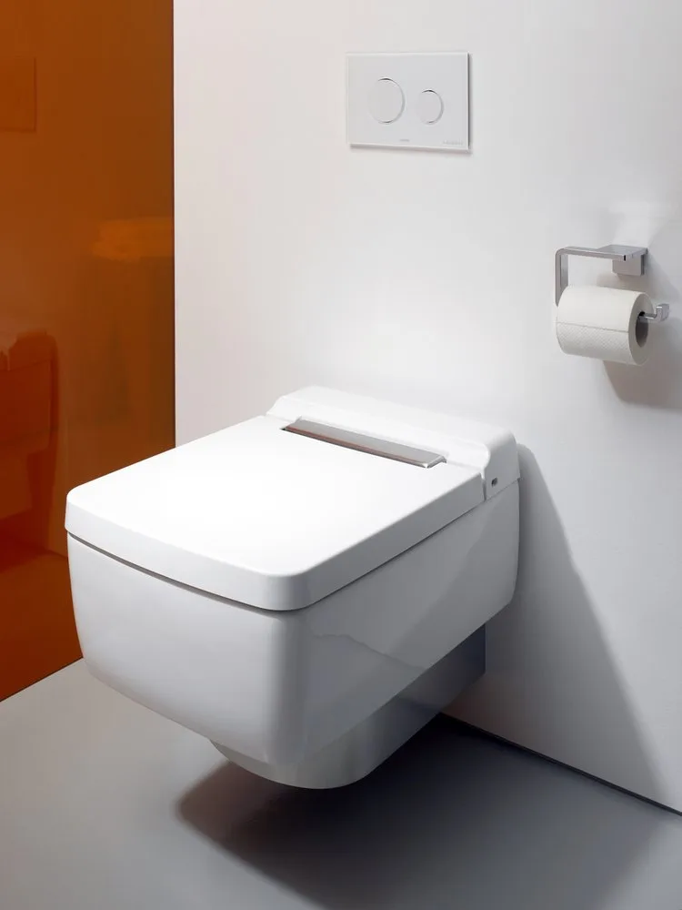 Крышка-сиденье Toto SG TC501CVK#W с микролифтом, петли хром Sancos — официальный сайт