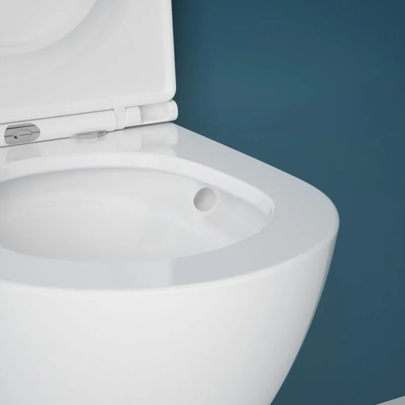 Подвесной унитаз Esbano Gardena-49T ESUPGARD49TW белый глянец безободковый, смыв Торнадо, с сиденьем Sancos — официальный сайт