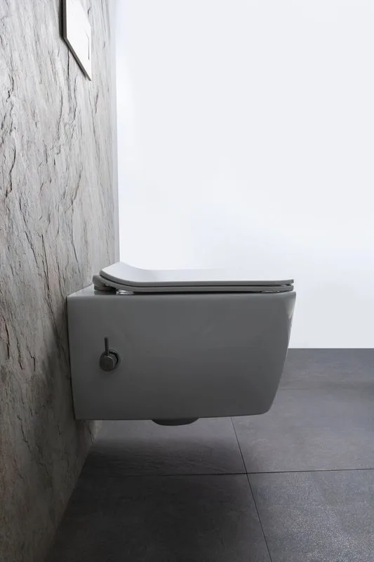 Унитаз подвесной Allen Brau Liberty 4.33009.20 Sancos — официальный сайт