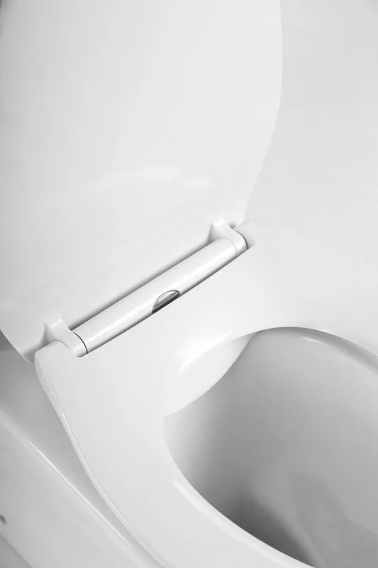 Унитаз-компакт напольный BelBagno Acqua BB340CPR Sancos — официальный сайт