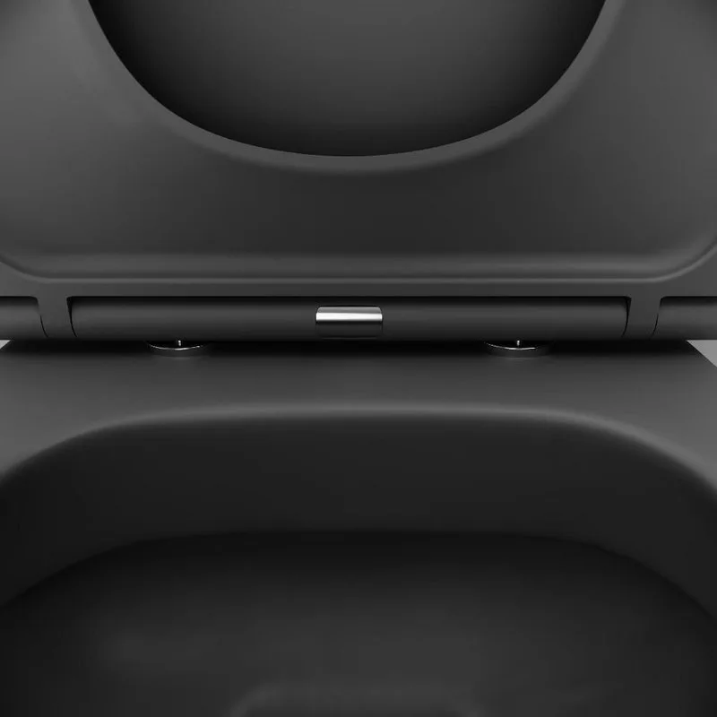 Унитаз подвесной Damixa Sirius DX86C1700MBSC Sancos — официальный сайт
