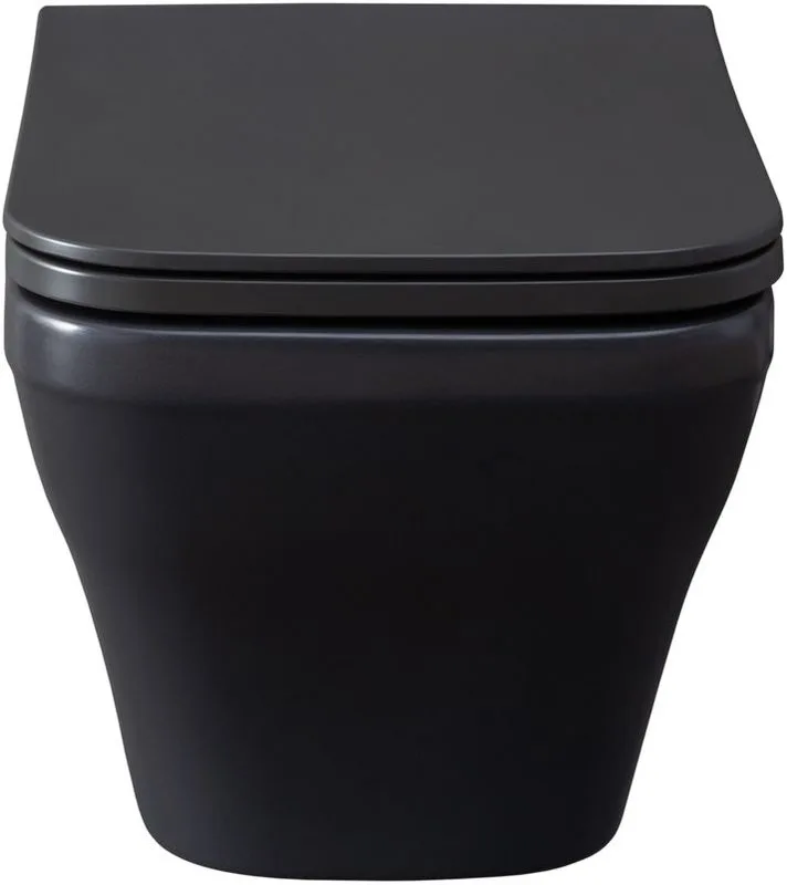 Унитаз подвесной Allen Brau Infinity 4.21011.AN Sancos — официальный сайт