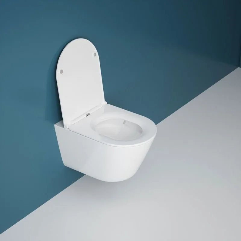 Подвесной унитаз Esbano Clavel-53T ESUPCLAV53TW белый глянец безободковый, смыв Торнадо, с сиденьем  Sancos — официальный сайт