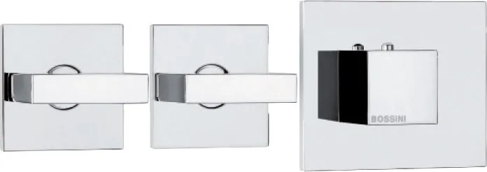 Термостатический смеситель встраиваемый Bossini Rectangular 2 Outlets LP Z033203 для ванны с душем,  Sancos — официальный сайт
