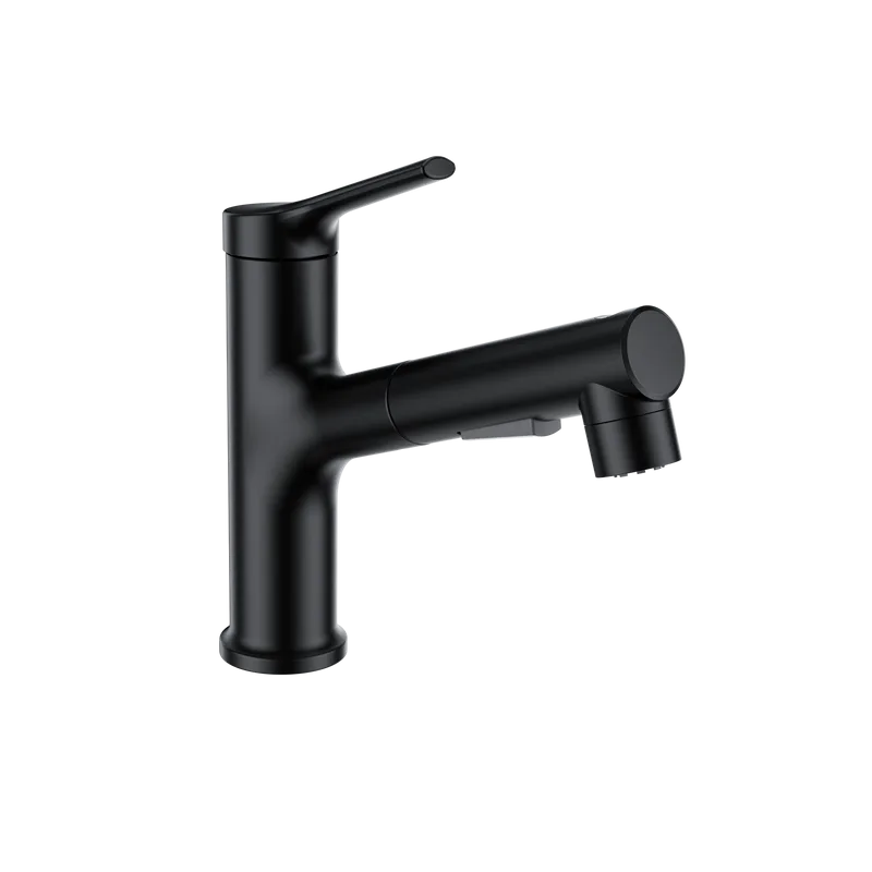Смеситель для раковины Wonzon & Woghand WW-A40862-MB с выдвижным изливом, черный матовый Sancos — официальный сайт