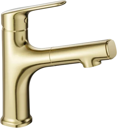 Смеситель для раковины Wonzon & Woghand WW-AE4151-BG с выдвижным изливом, брашированное золото Sancos — официальный сайт