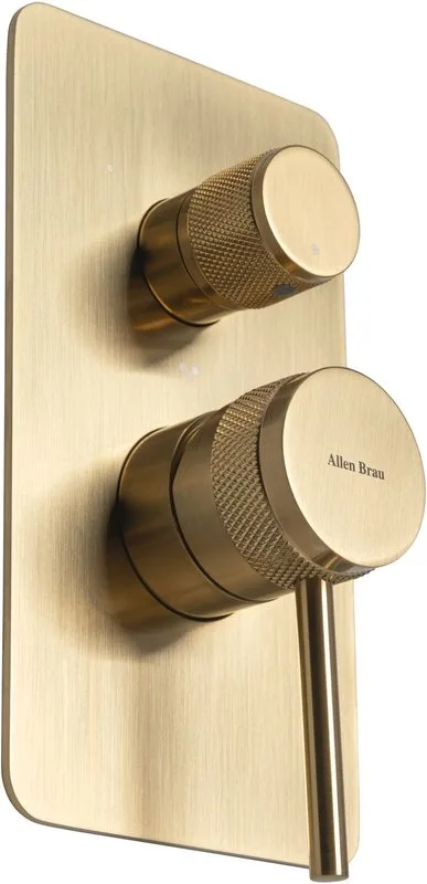 Встраиваемый смеситель Allen Brau Priority 5.31A11-GB, С ВНУТРЕННЕЙ ЧАСТЬЮ, браширо Sancos — официальный сайт
