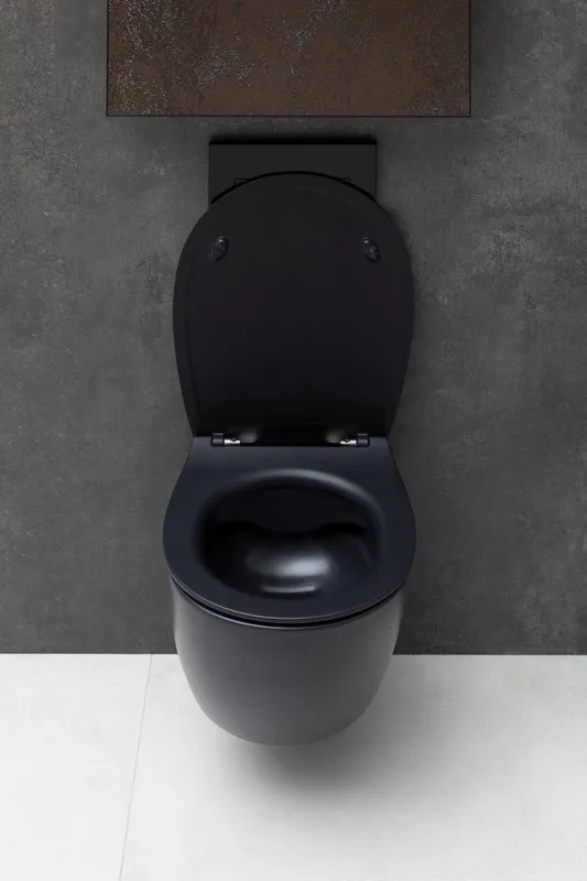 Унитаз подвесной Allen Brau Fantasy 4.11004.31 Sancos — официальный сайт