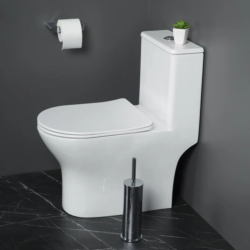 Унитаз-моноблок напольный BelBagno Lounge BB8618CPR-MN/SC Sancos — официальный сайт